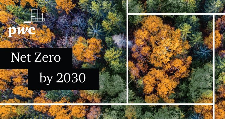Net zero