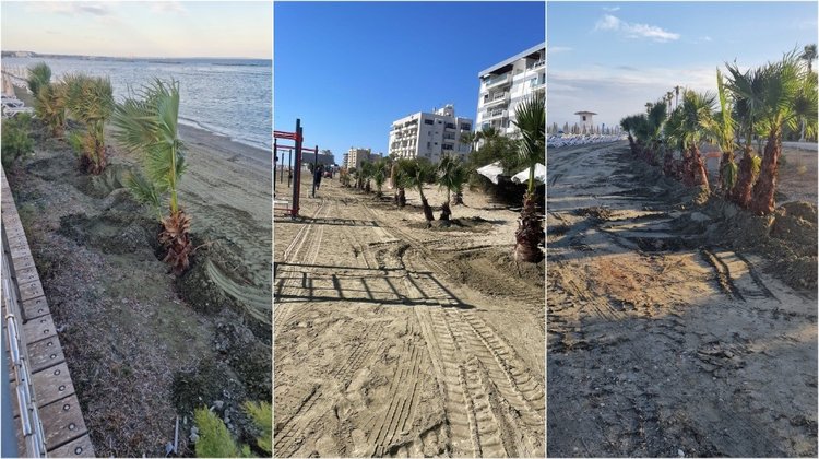 ΠΑΡΑΛΙΑΚΟ ΜΕΤΩΠΟ ΛΑΡΝΑΚΑΣ