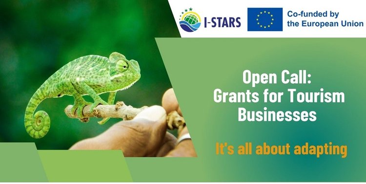 Call4SMEs_eFlyer