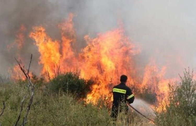 Μέτρα ενίσχυσης ύψους €2,23 εκ. για ζημιές από πυρκαγιές ανακοίνωσε η Έφορος Ελέγχου Κρατικών Ενισχύσεων