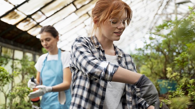 women-taking-care-their-plants-greenhouse
