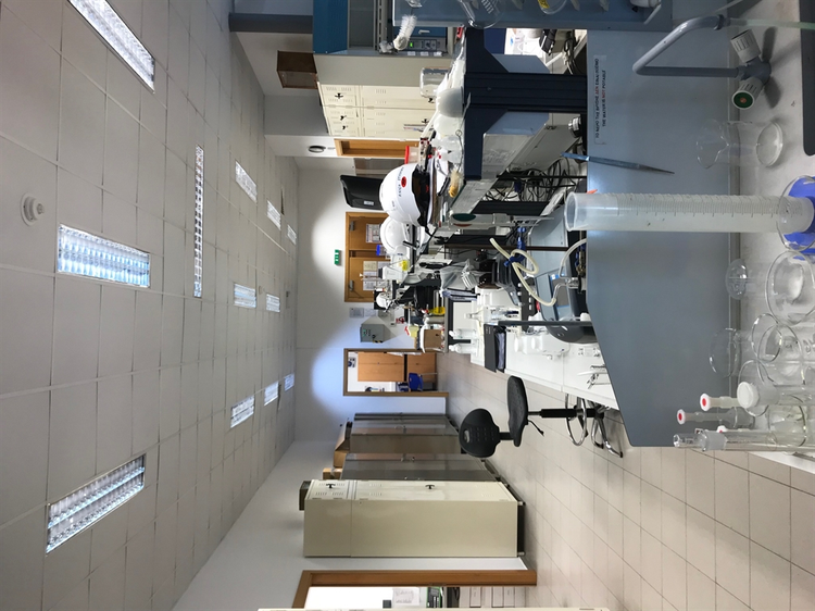 e4adc092-270e-491f-92e9-a5ad1c69ff87.jpg