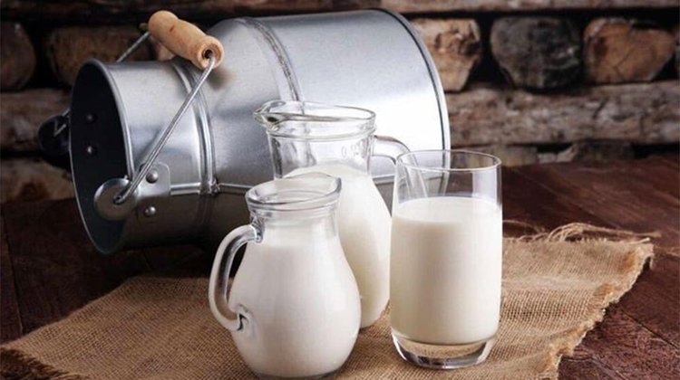 Ετήσια αύξηση 3,9% στις παραδόσεις αγελαδινού γάλακτος