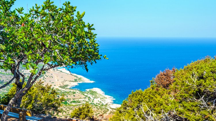 Την αναθεώρηση έργων για τo οδικό δίκτυο του Εθνικού Δασικού Πάρκου Ακάμα συζήτησαν ΕΤΕΚ-Μαρία Παναγιώτου