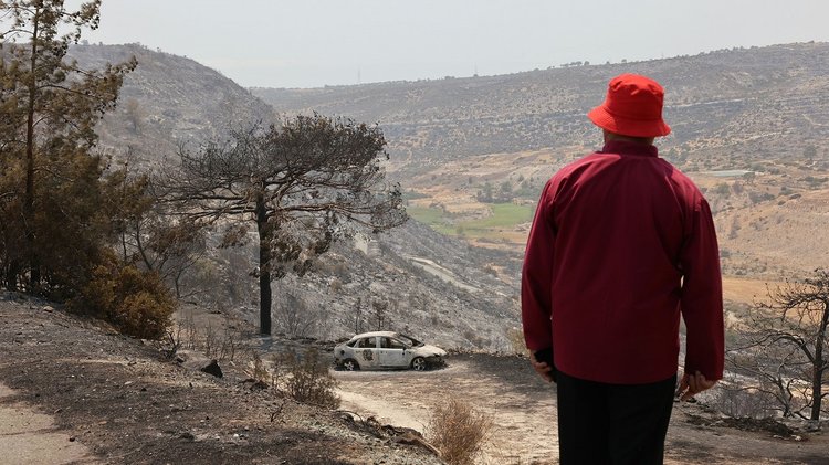 Στάχτη περίπου 15.000 δεκάρια οινοποιήσιμων καλλιεργειών...Στήνεται μηχανισμός και αρχίζει άμεσα η καταγραφή ζημιών