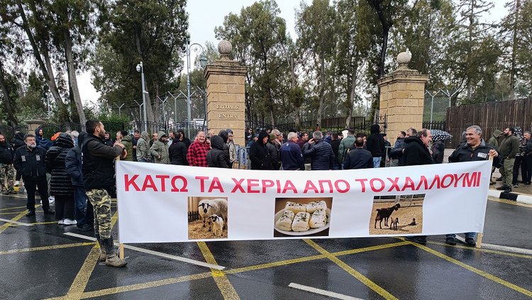 Θέλουν οδικό χάρτη και δεν αποκλείουν κινητοποιήσεις για το χαλλούμι οι αιγοπροβατοτρόφοι