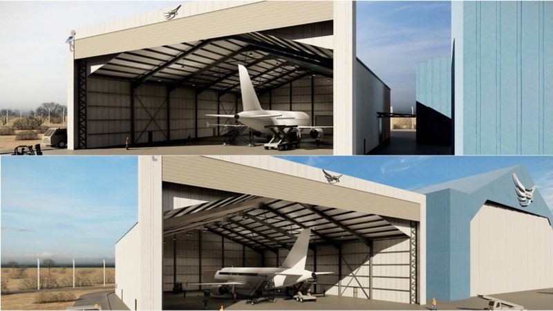 bird aviation