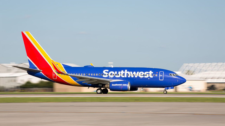376ae08f-a3ac-4495-95e6-ac75b8684c41.jpg