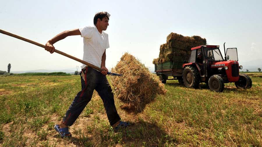 agrotesNEWS