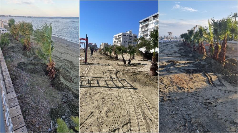 ΠΑΡΑΛΙΑΚΟ ΜΕΤΩΠΟ ΛΑΡΝΑΚΑΣ