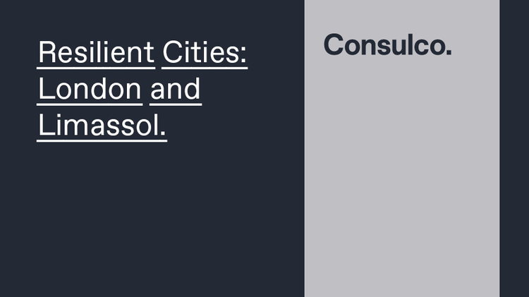361862_consulco.jpg