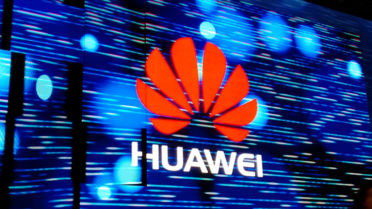 f16d9551-e583-4aac-a789-48732119181a.jpg