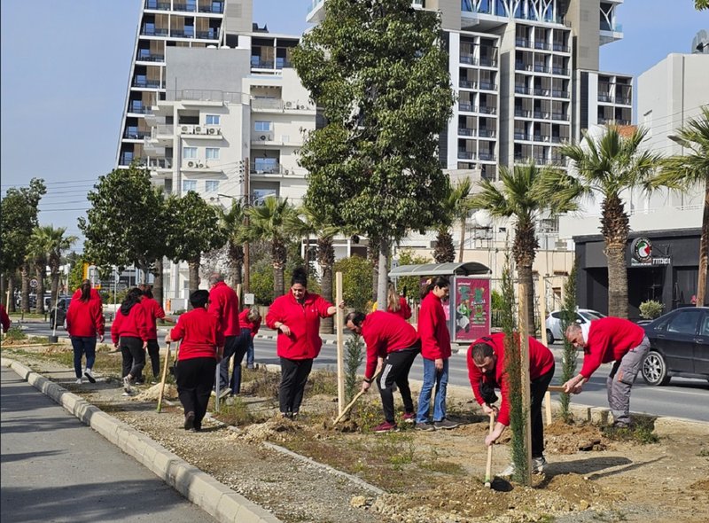 CCHBCCY treeplanting 2