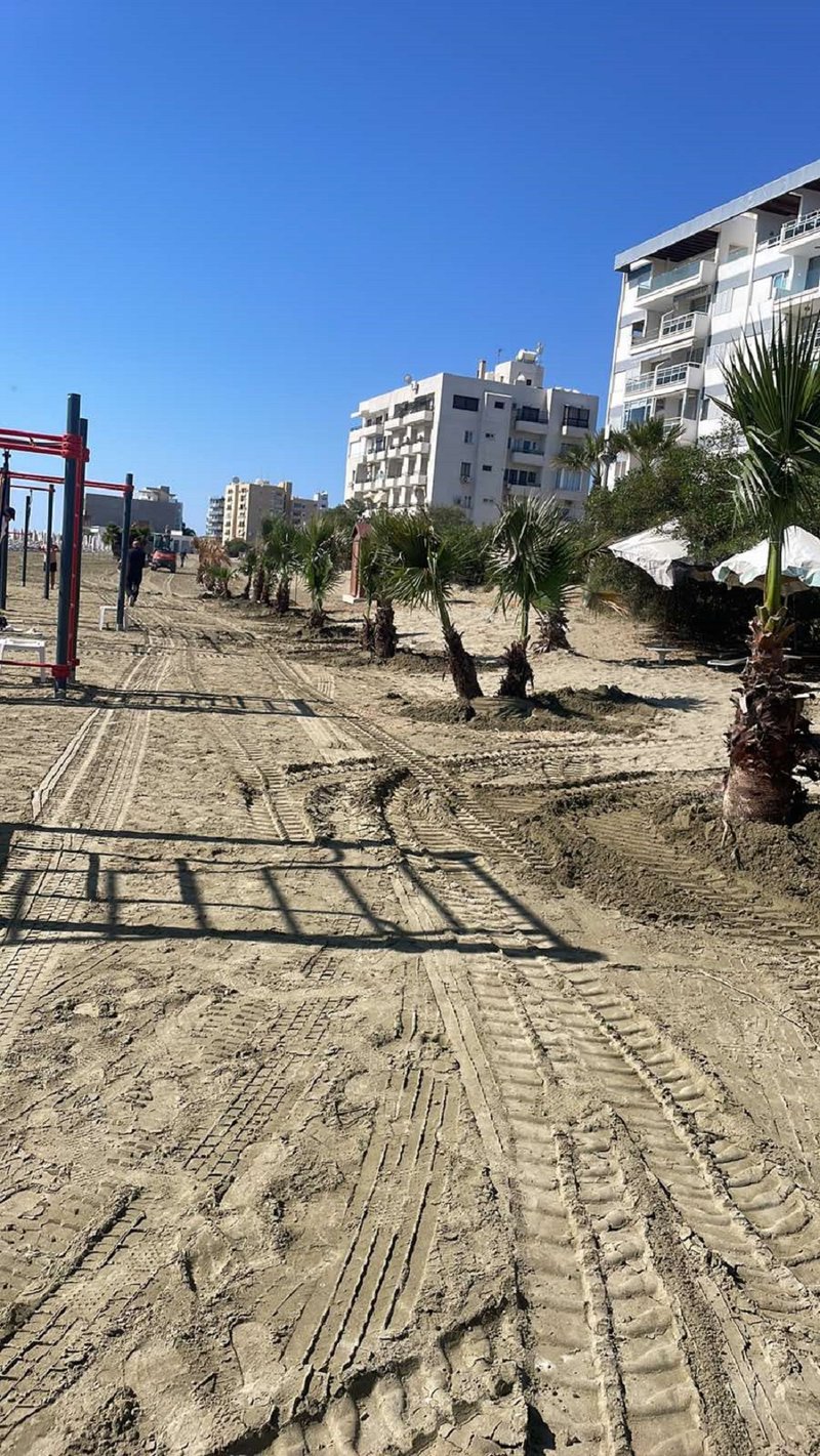 ΠΑΡΑΛΙΑΚΟ ΜΕΤΩΠΟ ΛΑΡΝΑΚΑΣ1