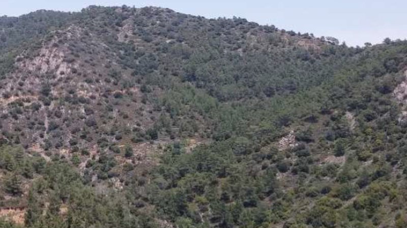 6.-Χωράφι-στους-Αγίους-Βαβατσινιάς