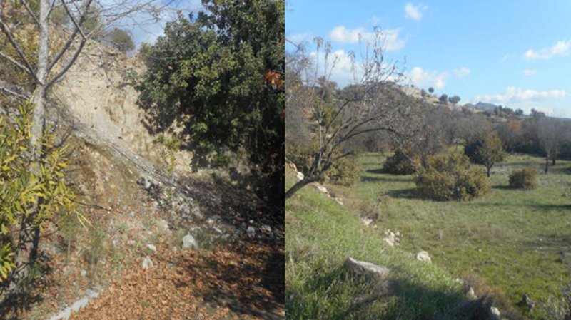 6.-Χωράφι-στους-Αγίους-Βαβατσινιάς