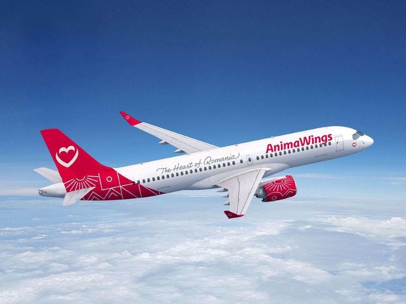 animawings_airline_operator_christian_tour_animawings_otopeni_on_facebook